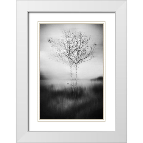 That Tree White Modern Wood Framed Art Print with Double Matting by Perez Acevedo, Lisandro