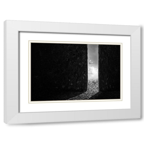 The White Bird White Modern Wood Framed Art Print with Double Matting by Almawash, Sulaiman