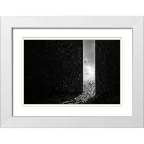 The White Bird White Modern Wood Framed Art Print with Double Matting by Almawash, Sulaiman