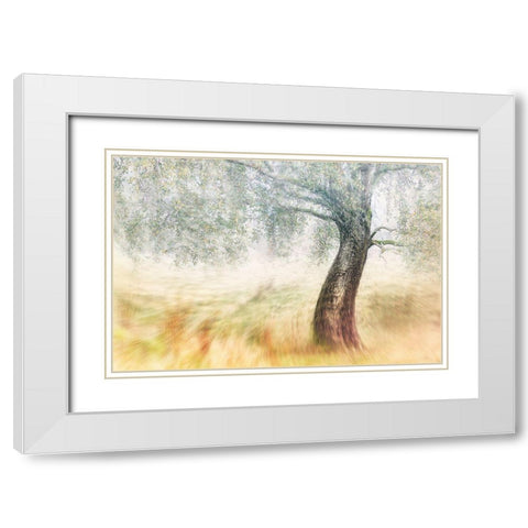 Twisted Dream White Modern Wood Framed Art Print with Double Matting by Davidsson, Gustav