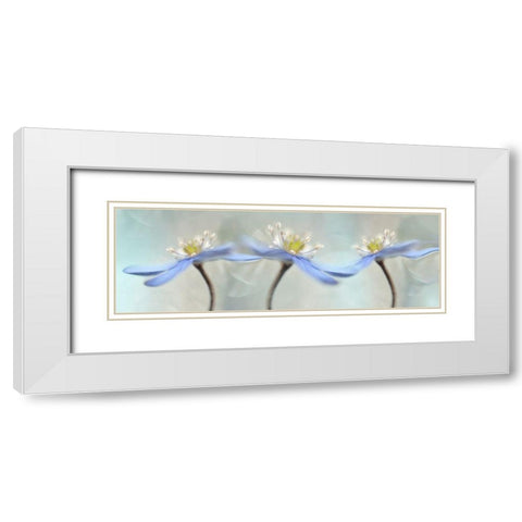 Dancing Anemones White Modern Wood Framed Art Print with Double Matting by Westum, Heidi