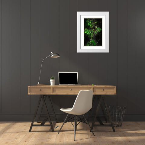 Mushroom Wall White Modern Wood Framed Art Print with Double Matting by Damsten, Petri