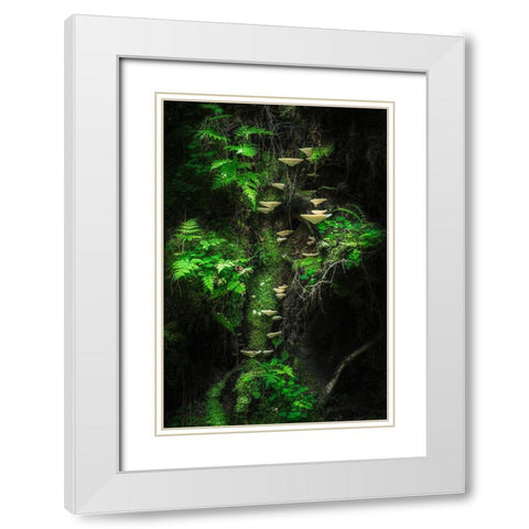Mushroom Wall White Modern Wood Framed Art Print with Double Matting by Damsten, Petri