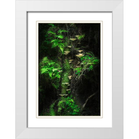 Mushroom Wall White Modern Wood Framed Art Print with Double Matting by Damsten, Petri