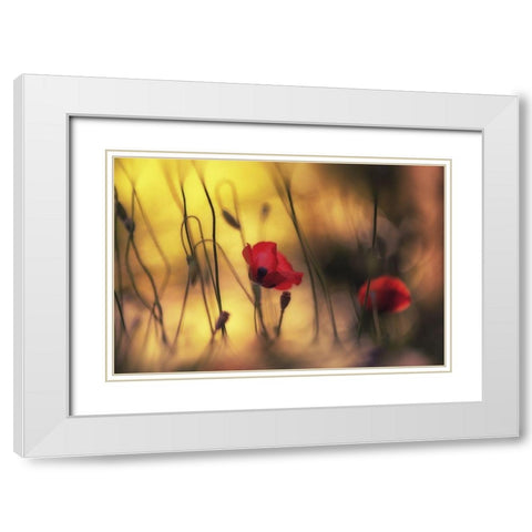 Untitled White Modern Wood Framed Art Print with Double Matting by Or, Keren