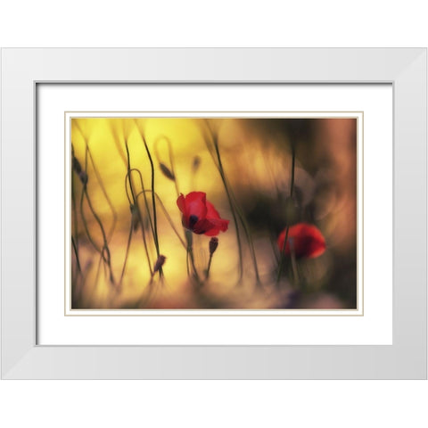 Untitled White Modern Wood Framed Art Print with Double Matting by Or, Keren