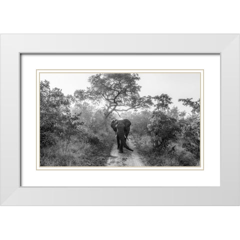 Walking Giant White Modern Wood Framed Art Print with Double Matting by Marx, Jaco