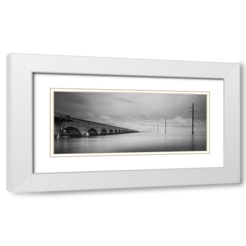 Birds Talking White Modern Wood Framed Art Print with Double Matting by Lionse, Art