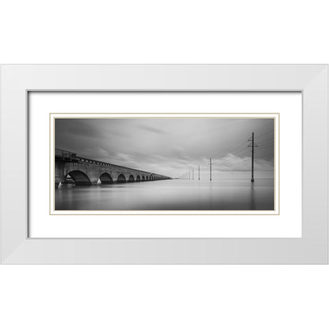 Birds Talking White Modern Wood Framed Art Print with Double Matting by Lionse, Art