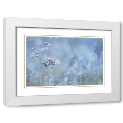 One Thread White Modern Wood Framed Art Print with Double Matting by Mijer, Wil