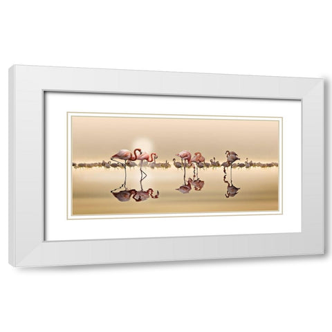Flamingos White Modern Wood Framed Art Print with Double Matting by Osman, Nasser