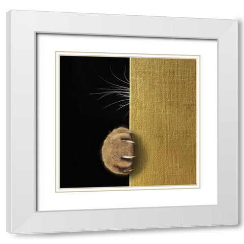 Shy Cat ... White Modern Wood Framed Art Print with Double Matting by Kuznetsova, Iryna