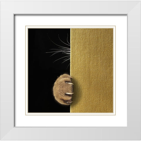 Shy Cat ... White Modern Wood Framed Art Print with Double Matting by Kuznetsova, Iryna