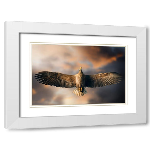 The Last Flight White Modern Wood Framed Art Print with Double Matting by Ghizzi Panizza, Alberto