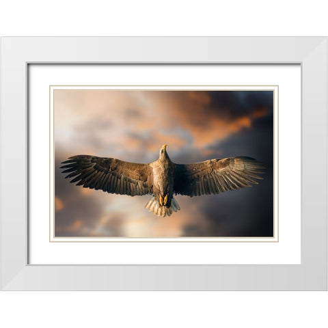 The Last Flight White Modern Wood Framed Art Print with Double Matting by Ghizzi Panizza, Alberto