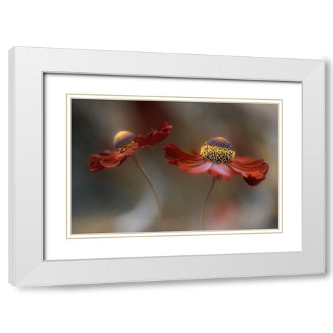 Helenium Dance White Modern Wood Framed Art Print with Double Matting by Disher, Mandy