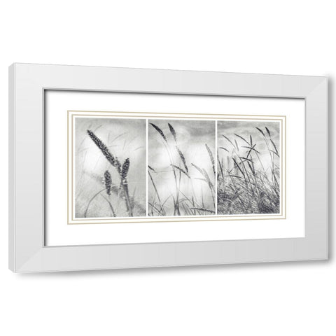 The Wilderness White Modern Wood Framed Art Print with Double Matting by Abrantes, Paulo