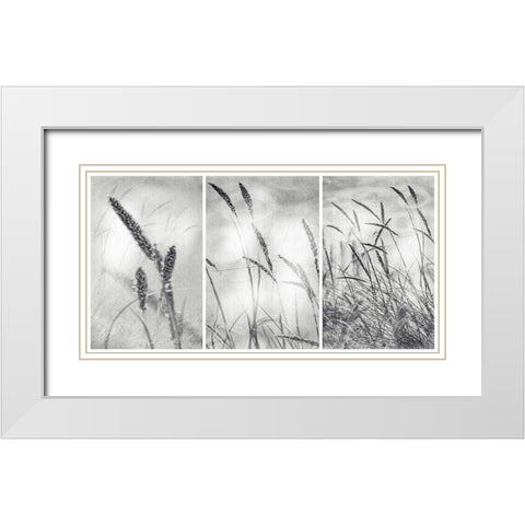 The Wilderness White Modern Wood Framed Art Print with Double Matting by Abrantes, Paulo