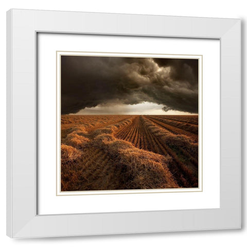 Untitled White Modern Wood Framed Art Print with Double Matting by Schumacher, Nicolas