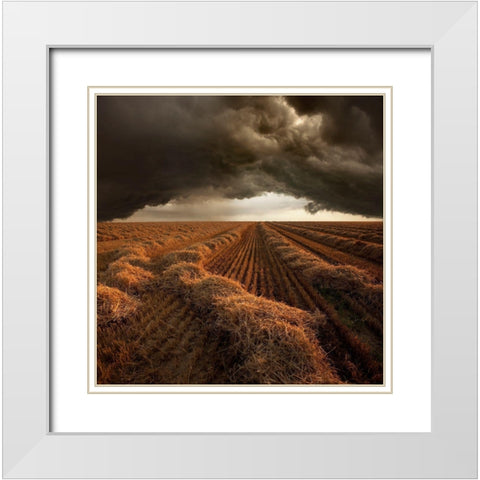 Untitled White Modern Wood Framed Art Print with Double Matting by Schumacher, Nicolas