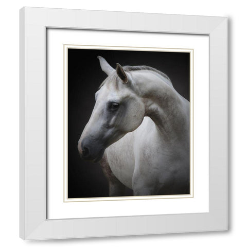 Maggie White Modern Wood Framed Art Print with Double Matting by Avivi, Avishai