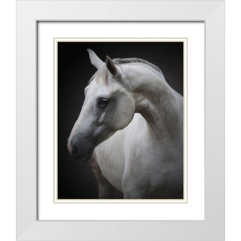 Maggie White Modern Wood Framed Art Print with Double Matting by Avivi, Avishai