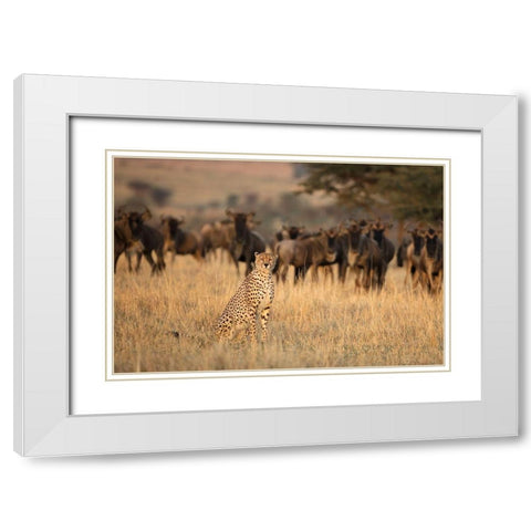 Aware White Modern Wood Framed Art Print with Double Matting by Doyle, Renee