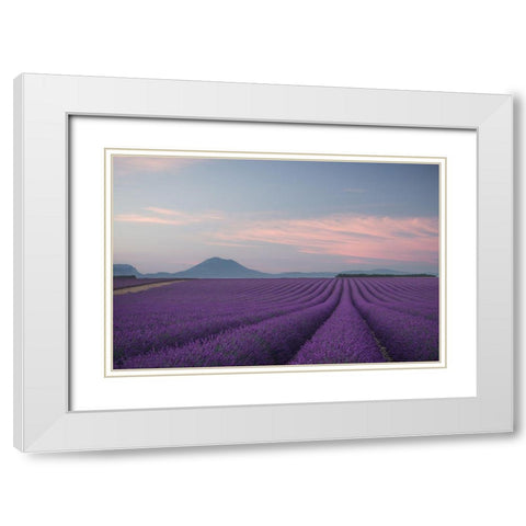Lavender Field White Modern Wood Framed Art Print with Double Matting by Anton, Rostovskiy