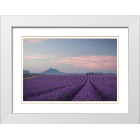 Lavender Field White Modern Wood Framed Art Print with Double Matting by Anton, Rostovskiy
