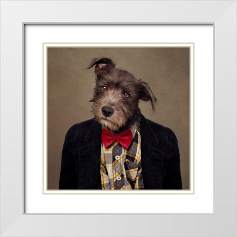 Shelter Pets Project - Ombrac White Modern Wood Framed Art Print with Double Matting by Swarek, Tammy