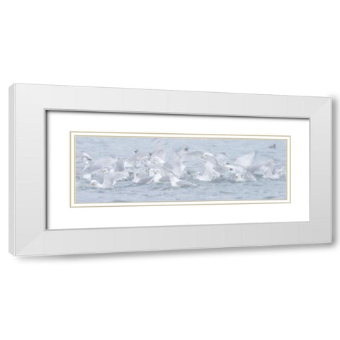 Breaking The Surface White Modern Wood Framed Art Print with Double Matting by Marchegiani, Roberto