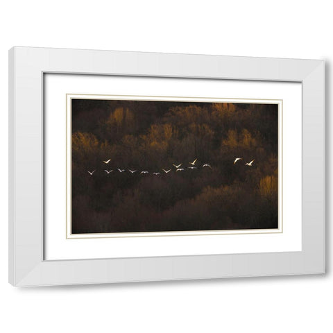 Morning Mood White Modern Wood Framed Art Print with Double Matting by Li, Austin