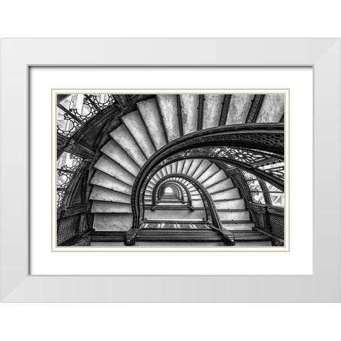 The Rookery White Modern Wood Framed Art Print with Double Matting by Sun, Yimei