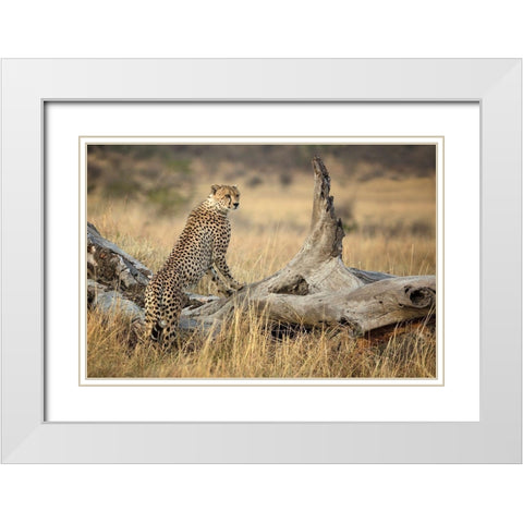 Strong White Modern Wood Framed Art Print with Double Matting by Doyle, Renee