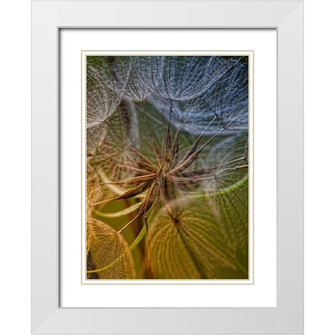 Inside White Modern Wood Framed Art Print with Double Matting by Mathiesen, Kent