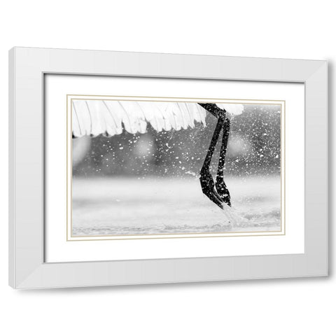 Taking Off White Modern Wood Framed Art Print with Double Matting by Zuo, Jun
