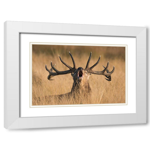 Ready To Rut White Modern Wood Framed Art Print with Double Matting by Uddin, Kutub