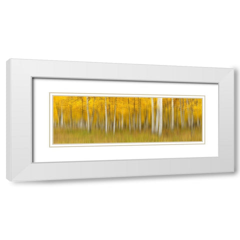 Autumn Dream White Modern Wood Framed Art Print with Double Matting by Xu, Mei