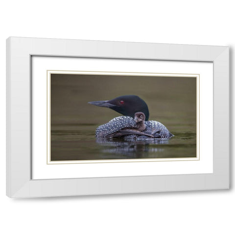 Back Seat White Modern Wood Framed Art Print with Double Matting by Barsh, Greg