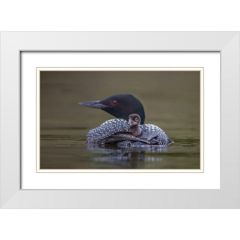 Back Seat White Modern Wood Framed Art Print with Double Matting by Barsh, Greg