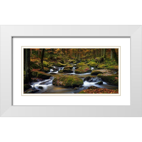 Autumn Waters White Modern Wood Framed Art Print with Double Matting by Maier, Norbert