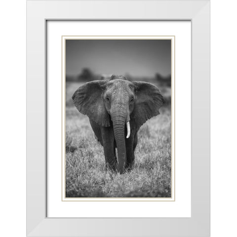 Singularity White Modern Wood Framed Art Print with Double Matting by Marx, Jaco