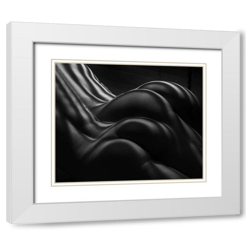 Female Zebra Stripes White Modern Wood Framed Art Print with Double Matting by Dixon, Colin