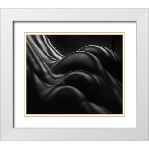 Female Zebra Stripes White Modern Wood Framed Art Print with Double Matting by Dixon, Colin
