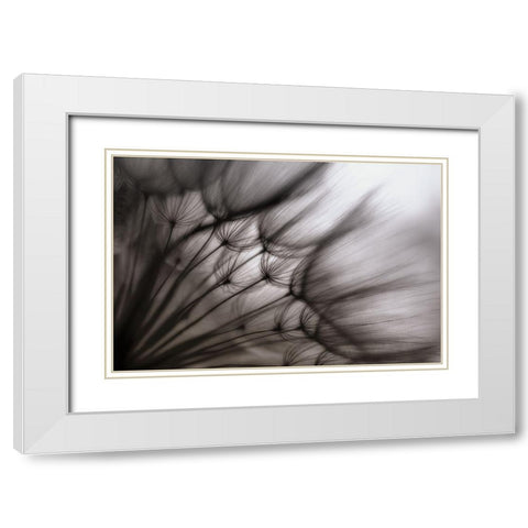 Untitled White Modern Wood Framed Art Print with Double Matting by Or, Keren
