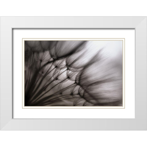 Untitled White Modern Wood Framed Art Print with Double Matting by Or, Keren
