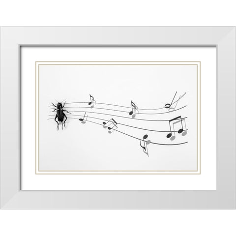 The Music Of Nature White Modern Wood Framed Art Print with Double Matting by Mallus, Stefano