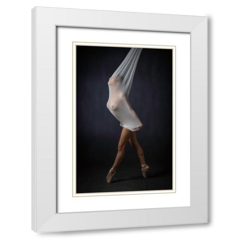 Sheer Stretch White Modern Wood Framed Art Print with Double Matting by Catchlight Studio