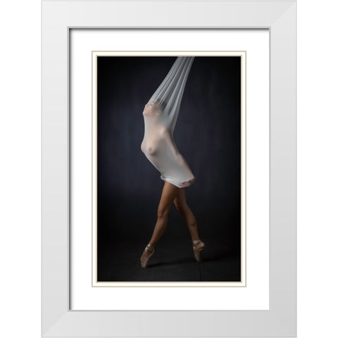 Sheer Stretch White Modern Wood Framed Art Print with Double Matting by Catchlight Studio