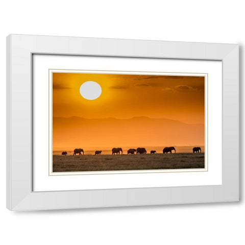 Sunrise Over Amboseli White Modern Wood Framed Art Print with Double Matting by C. Sink, Jeffrey